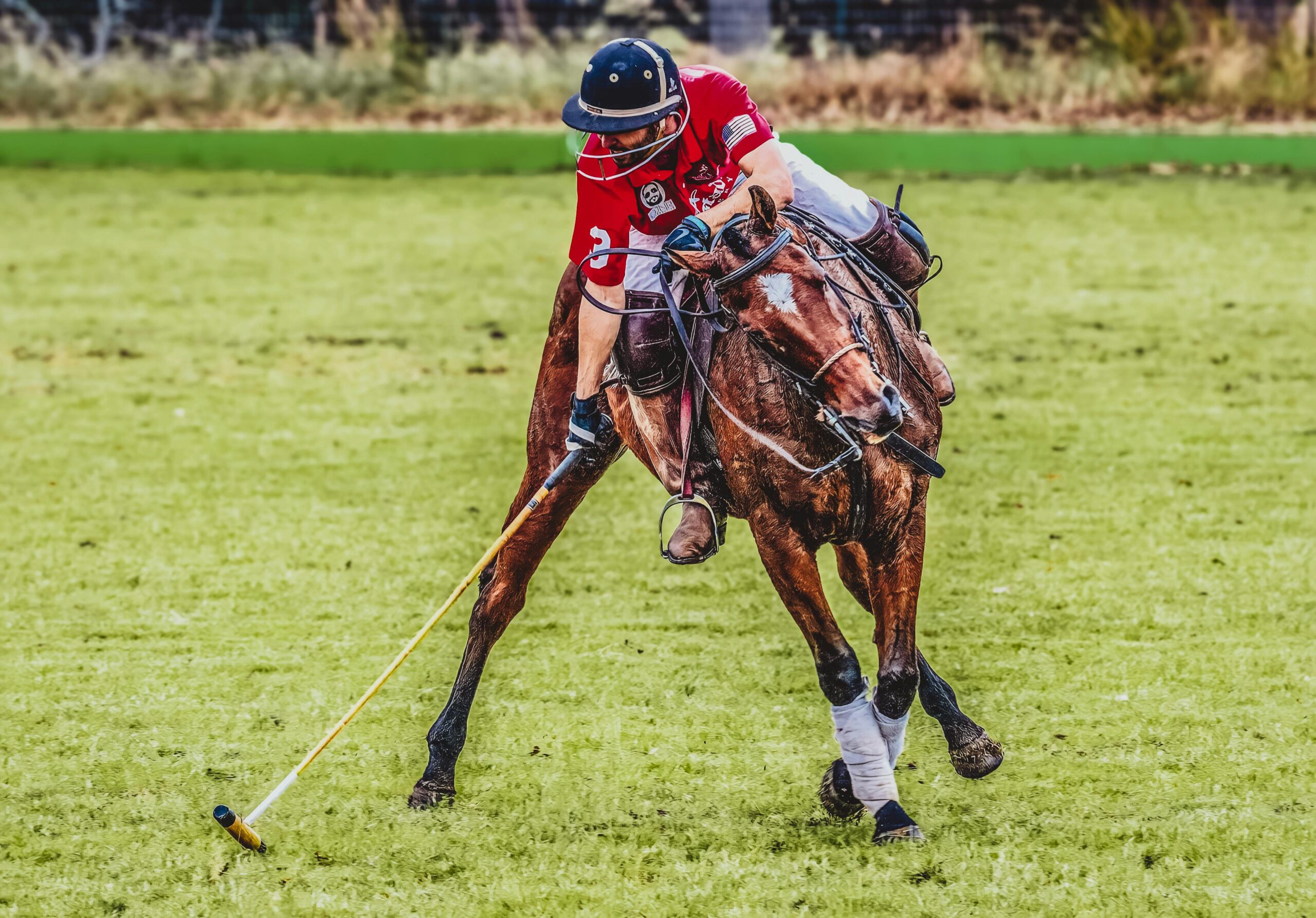 Jugador de polo en un partido